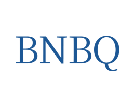 BNBQ 商标图样