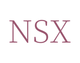 NSX 商标图样