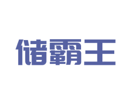 储霸王 商标图样