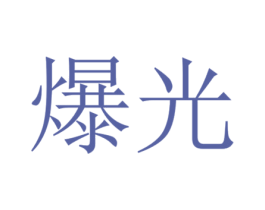 爆光 商标图样