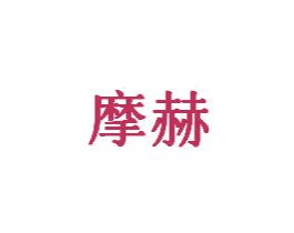 摩赫 商标图样