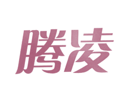 腾凌 商标图样