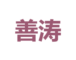 善涛 商标图样