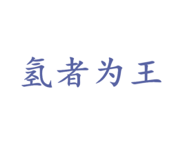 氢者为王 商标图样