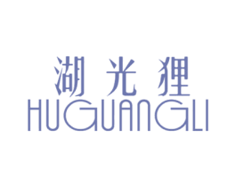 湖光狸 商标图样