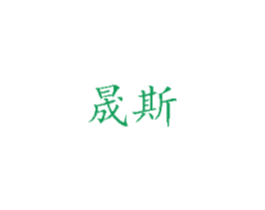 晟斯 商标图样