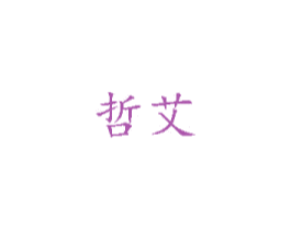 哲艾 商标图样