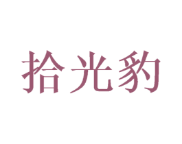 拾光豹 商标图样
