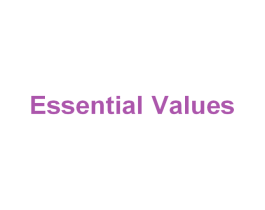 ESSENTIAL VALUES 商标图样