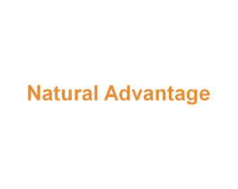 NATURAL ADVANTAGE 商标图样