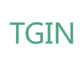 TGIN 商标图样