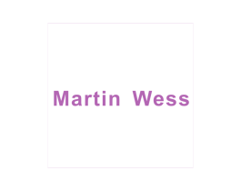 MARTINWESS 商标图样