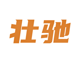 壮驰 商标图样