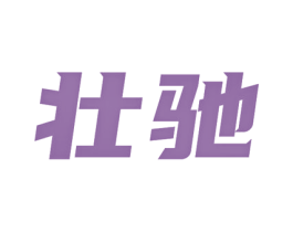 壮驰 商标图样