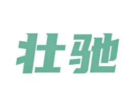 壮驰 商标图样