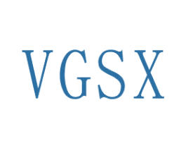 VGSX 商标图样