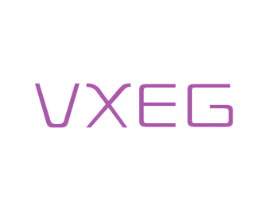 VXEG 商标图样