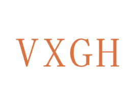 VXGH 商标图样