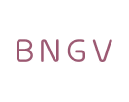 BNGV 商标图样
