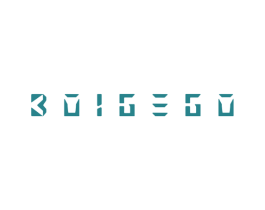 BOIGEGO 商标图样