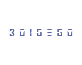 BOIGEGO 商标图样