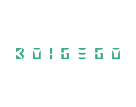 BOIGEGO 商标图样