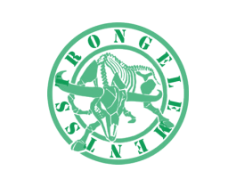STRONG ELEMENTS 商标图样