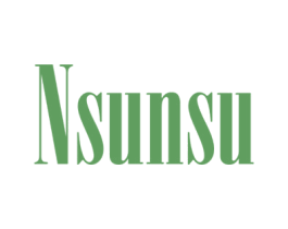 NSUNSU 商标图样