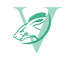 V 商标图样