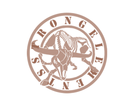 STRONG ELEMENTS 商标图样