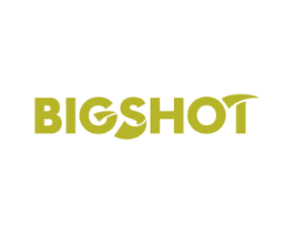 BIGSHOT 商标图样