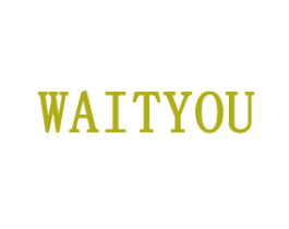 WAITYOU 商标图样