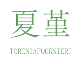 夏堇  TORENIAFOURNIERI 商标图样