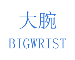 大腕 BIGWRIST 商标图样