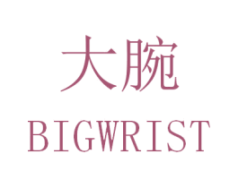 大腕 BIGWRIST 商标图样