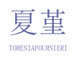 夏堇 TORENIAFOURNIERI 商标图样