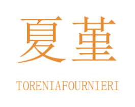 夏堇 TORENIAFOURNIERI 商标图样