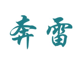 奔雷 商标图样