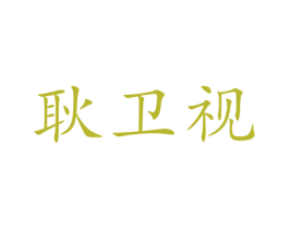 耿卫视 商标图样