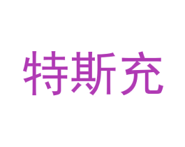 特斯充 商标图样