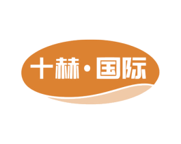 十赫·国际 商标图样