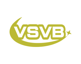 VSVB 商标图样