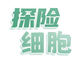 探险细胞 商标图样