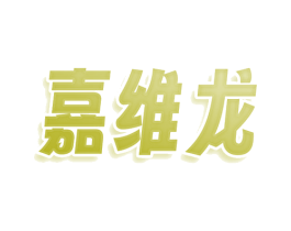 嘉维龙 商标图样