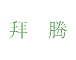 拜腾 商标图样