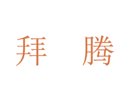 拜腾 商标图样