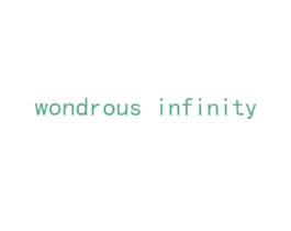 WONDROUS INFINITY 商标图样