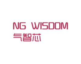 气智芯 NG WISDOM 商标图样