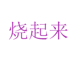 烧起来 商标图样