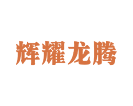 辉耀龙腾 商标图样